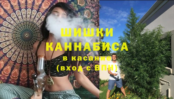 гашик Алзамай