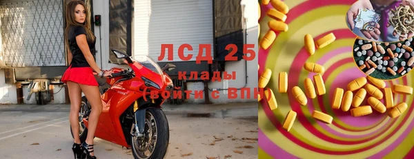 гашик Алзамай