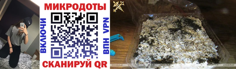 купить  сайты  Советский  блэк спрут ссылки  Галлюциногенные грибы мицелий 