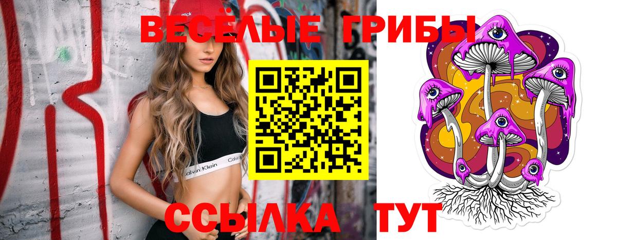 Псилоцибиновые грибы Psilocybine cubensis Советский